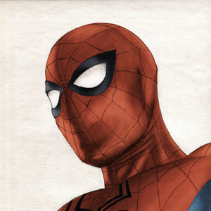 spiderman_subir_231303.jpg