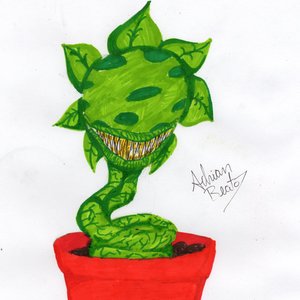 Planta Carnivora 