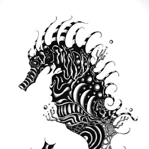 Caballo de mar - Sea Horse