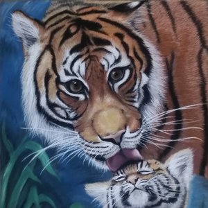 Tigres (Acabado)