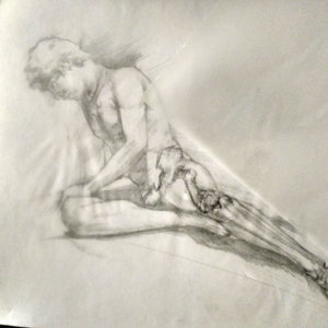 Práctica de anatomía 