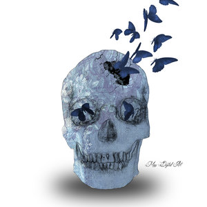 Catrina 