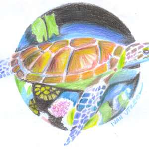 tortuga en lapices de colores