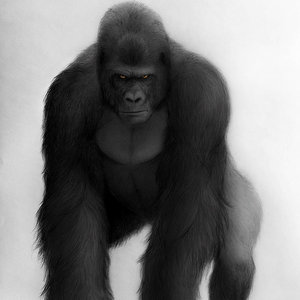 The great gorilla