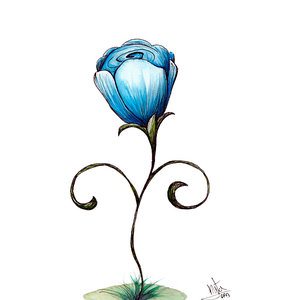 Flor - dibujo técnico