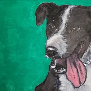 Homenaje a mi amigo 