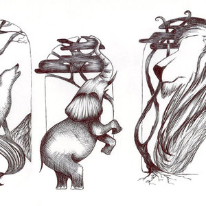 Grafismos