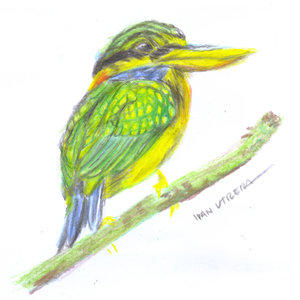 bird_397472.jpg