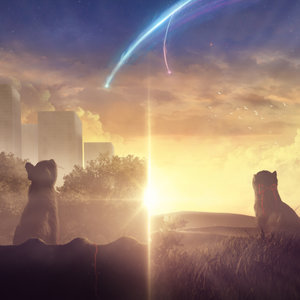 Kimi no na Cat