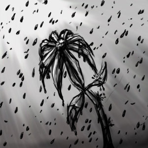 &quot;Lágrimas de una flor&quot;