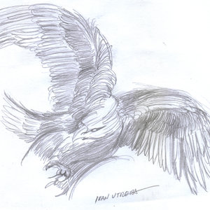 eagle03_390510.jpg