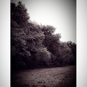 Paisaje 01