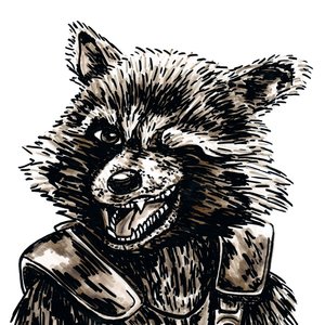 Rocket Raccoon