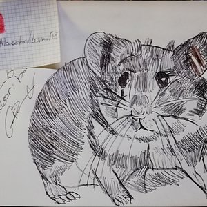 día 6 inktober: roedor