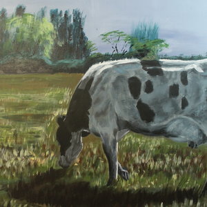 COW 