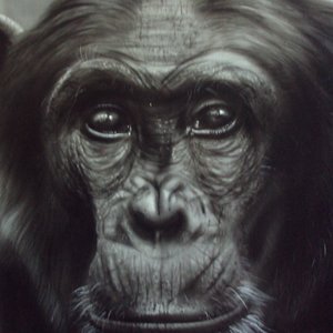 Mono, así de simple!!!