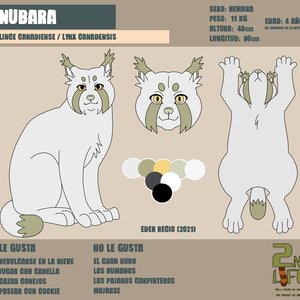 FICHA_NUBARA_470943.png