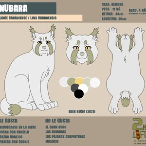 FICHA PERSONAJE 2021: NUBARA