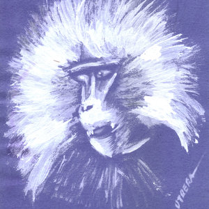 mandril en acrilico