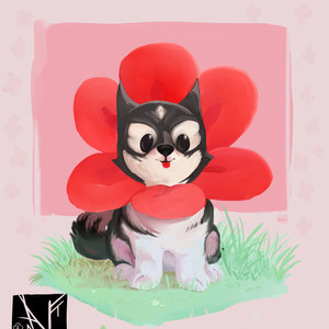 Husky Batman del weno wenardo