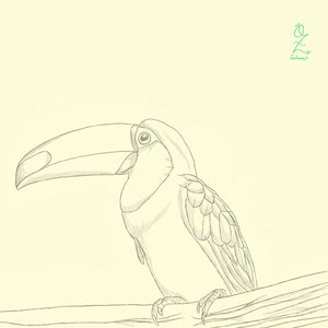 Tucan_text_484113.png