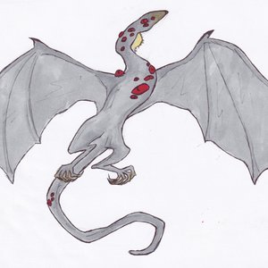 Dragones