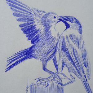 pajaros a lapicero