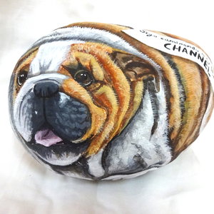 Bulldog con mensaje