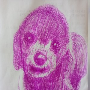perro a lapicero