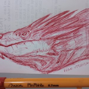 smaug