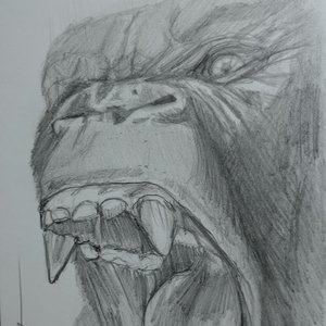 gorila a lapiz