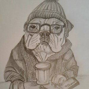 BULLDOG