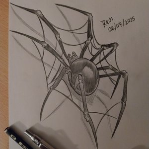 Araña