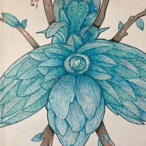 Insecto planta