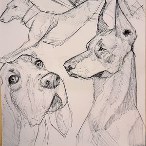Perros