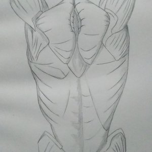 Mis inicios. (2)