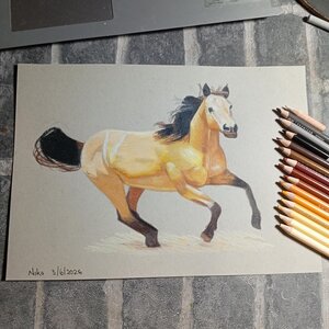 "Caballo"