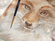 red_fox_50588.jpg