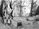 Los Magos, guiar hacia el Rey, sanar