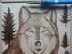 lob_508150.jpg