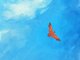 Vendedordetail2_510564.png