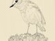 Bird_Pexels_Maria_argiroudaki_text_522012.png
