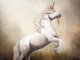 unicorn_fin_1000px_528896.jpg