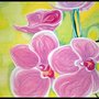 ORQUÌDEAS