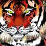 Tigre
