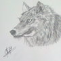 lobo