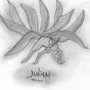 KYUBI
