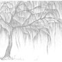 Árbol 2