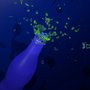 Botella cool