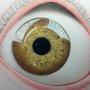 ojo